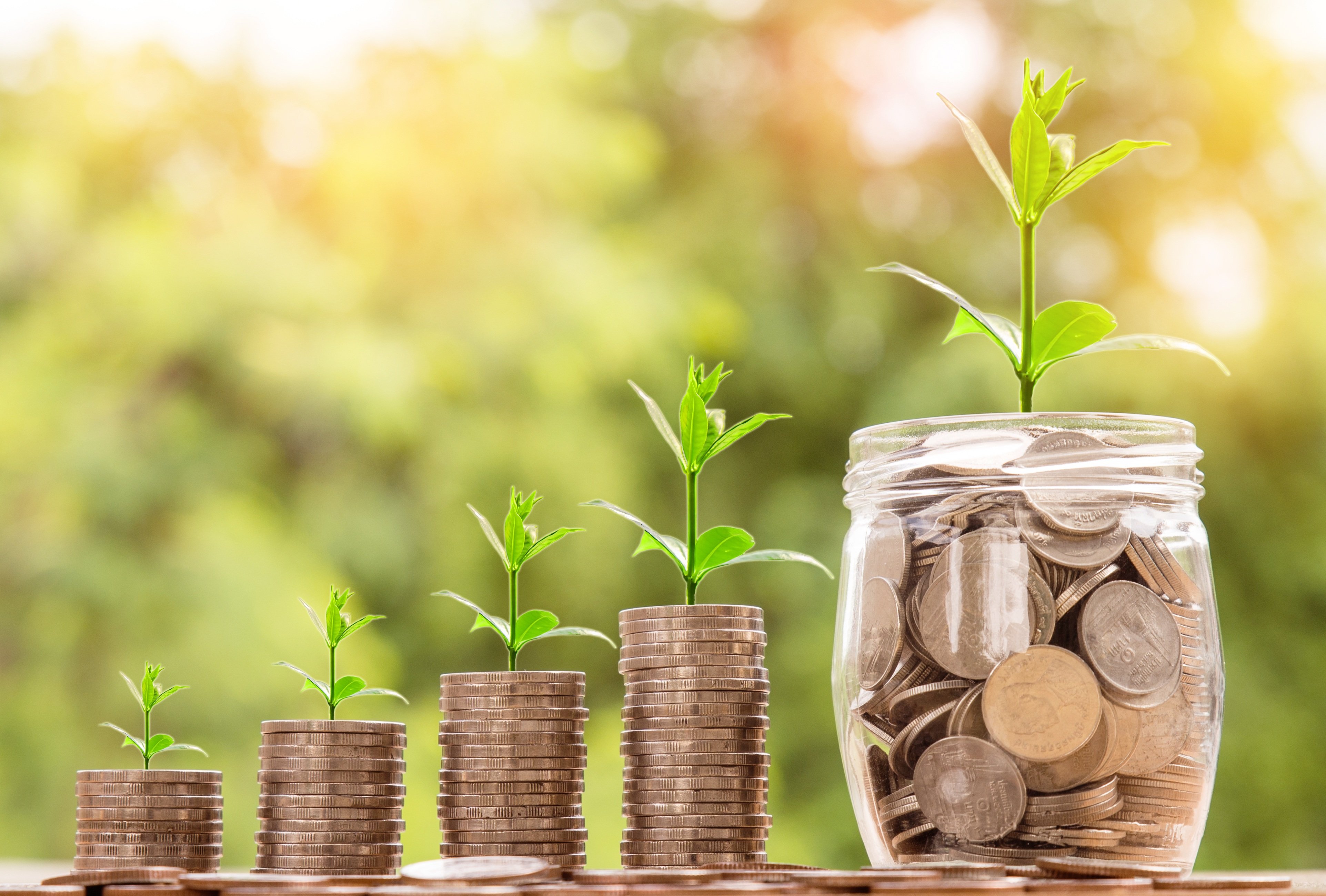 Banking and Financial Services